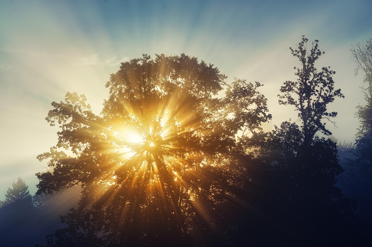 Le Soleil, un axe essentiel 